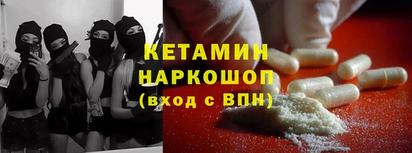 прущие грибы Костерёво