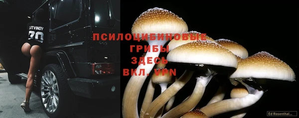 МДМА Корсаков