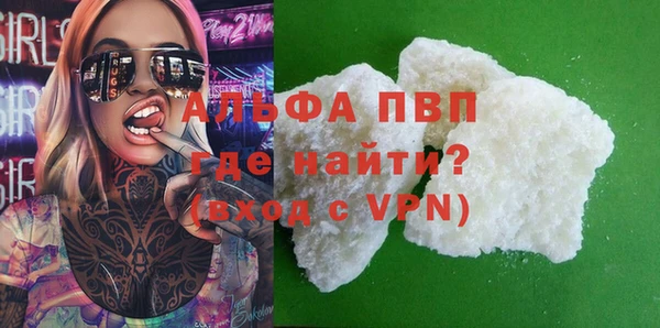 прущие грибы Костерёво