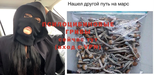 прущие грибы Костерёво