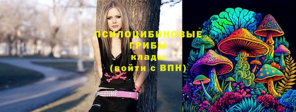 прущие грибы Костерёво