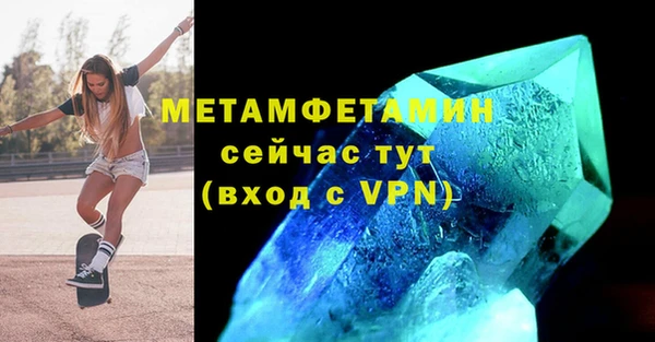 прущие грибы Костерёво