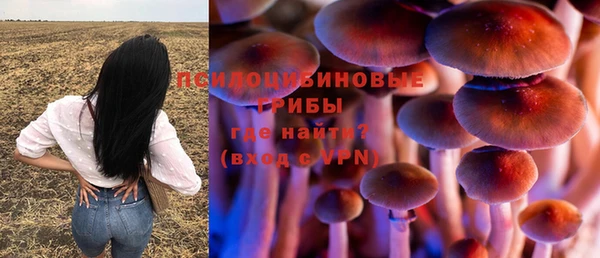 бутират Коряжма