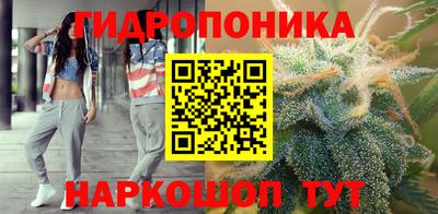 шишки Волжский