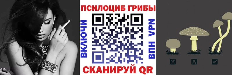 Галлюциногенные грибы Psilocybine cubensis  omg сайт  Норильск 