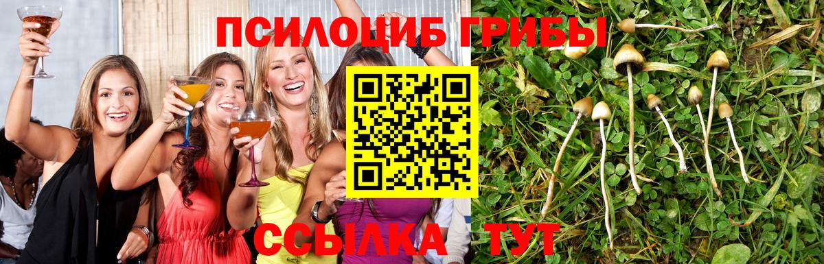 Псилоцибиновые грибы MAGIC MUSHROOMS  Норильск  Псилоцибиновые грибы GOLDEN TEACHER 