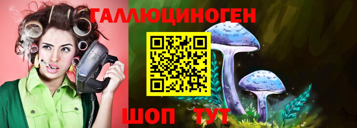 Псилоцибиновые грибы Magic Shrooms Норильск